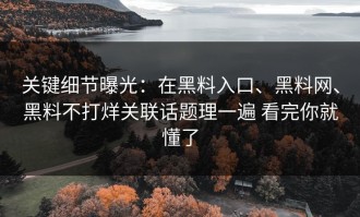 关键细节曝光：在黑料入口、黑料网、黑料不打烊关联话题理一遍 看完你就懂了
