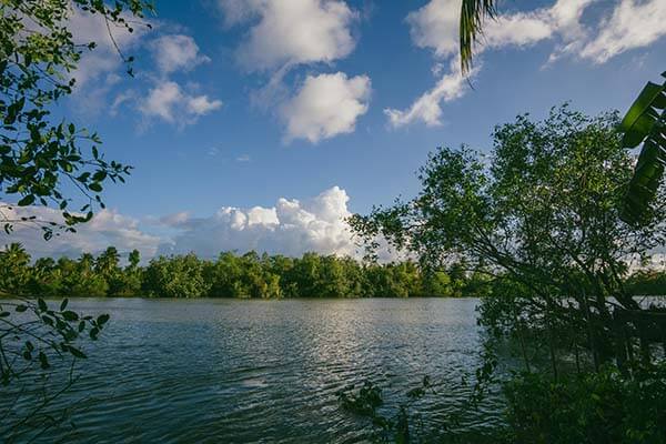被忽略的背景信息：就黑料不打烊、黑料网、黑料入口多方说法解释明白